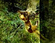 barrskog med skogsmard anfallande en orrhona